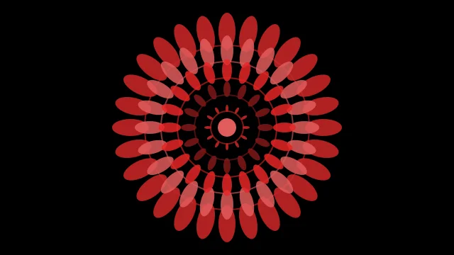 Dark Wine mandala background — free HD dark wine color wallpaper 1920x1080