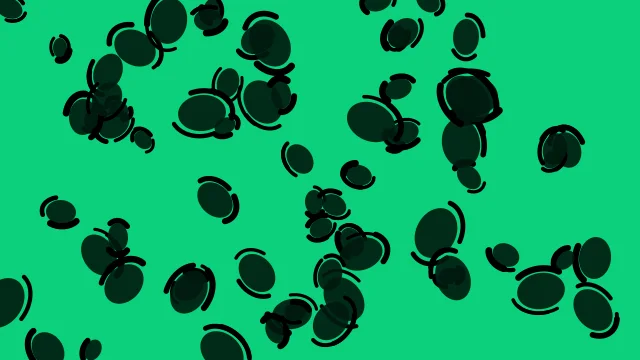 Deep Forest leopard print background — free HD deep forest color wallpaper 1920x1080