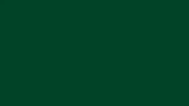 Deep Forest plain solid background — free HD deep forest color wallpaper 1920x1080
