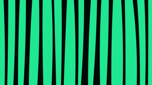Deep Forest zebra print background — free HD deep forest color wallpaper 1920x1080
