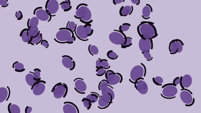 Deep Lilac leopard print background — free HD deep lilac color wallpaper 1920x1080