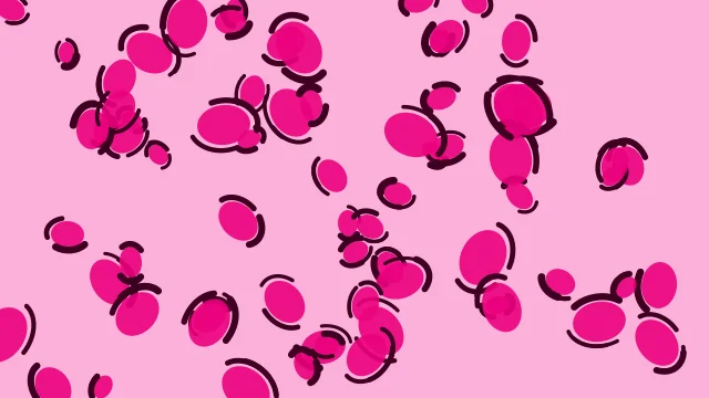 Deep Pink leopard desktop wallpaper — free 4K deep pink wallpaper 3840x2160