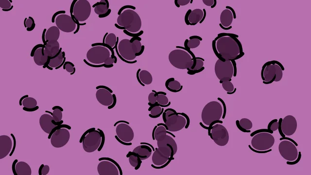 Deep Purple leopard print background — free HD deep purple color wallpaper 1920x1080