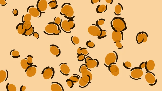 Deep Saffron leopard print background — free HD deep saffron color wallpaper 1920x1080