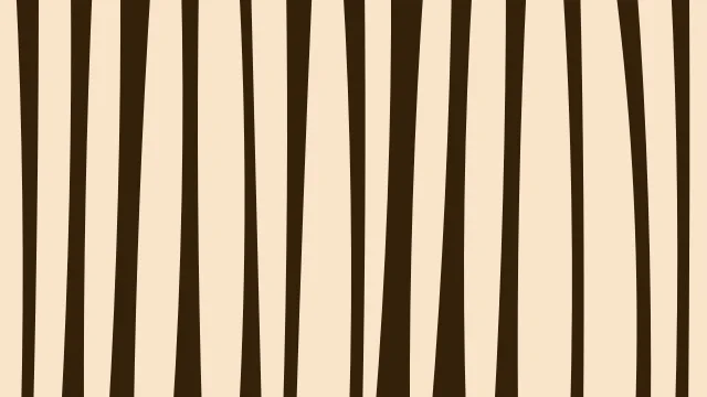 Deep Saffron zebra print background — free HD deep saffron color wallpaper 1920x1080