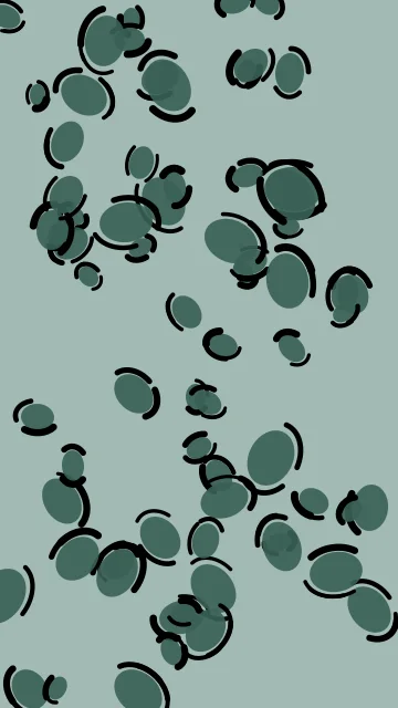 Deep Teal leopard phone wallpaper — free HD deep teal mobile wallpaper 1080x1920