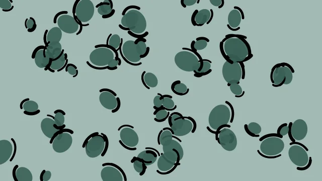 Deep Teal leopard print background — free HD deep teal color wallpaper 1920x1080