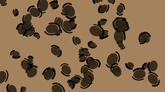 Deep Walnut leopard print background — free HD deep walnut color wallpaper 1920x1080
