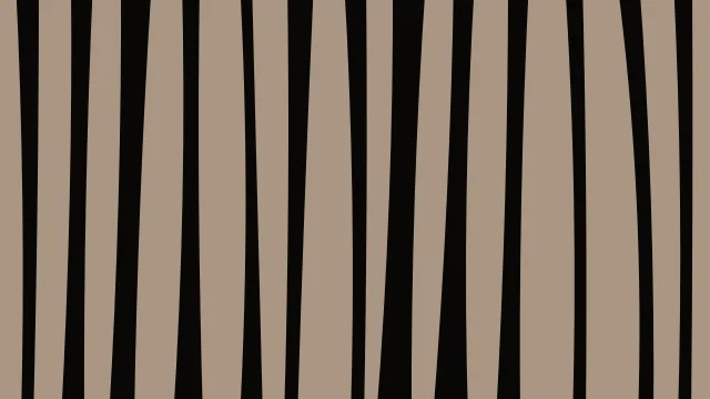 Deep Walnut zebra print background — free HD deep walnut color wallpaper 1920x1080