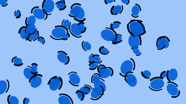 Digital Blue leopard print background — free HD digital blue color wallpaper 1920x1080
