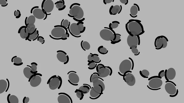 Dim Gray leopard desktop wallpaper — free 4K dim gray wallpaper 3840x2160