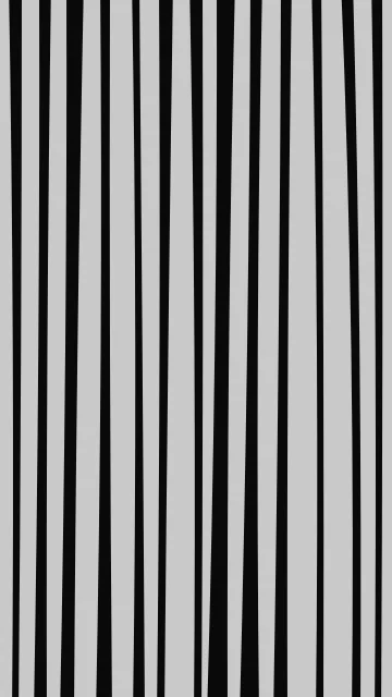 Dim Gray zebra phone wallpaper — free HD dim gray mobile wallpaper 1080x1920