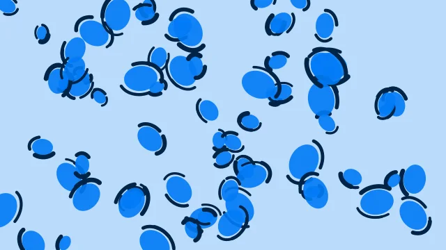 Dodger Blue leopard desktop wallpaper — free 4K dodger blue wallpaper 3840x2160