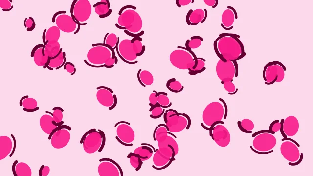 Dragonfruit leopard desktop wallpaper — free 4K dragonfruit wallpaper 3840x2160