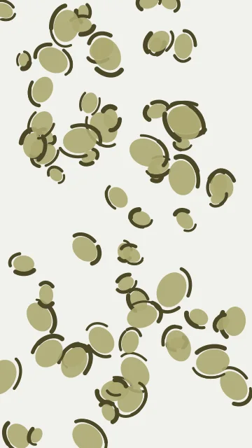 Dry Sage leopard phone wallpaper — free HD dry sage mobile wallpaper 1080x1920