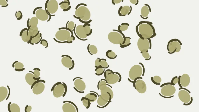 Dry Sage leopard print background — free HD dry sage color wallpaper 1920x1080