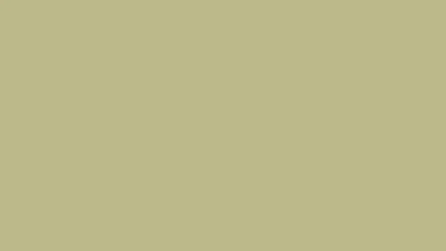 Dry Sage plain solid background — free HD dry sage color wallpaper 1920x1080