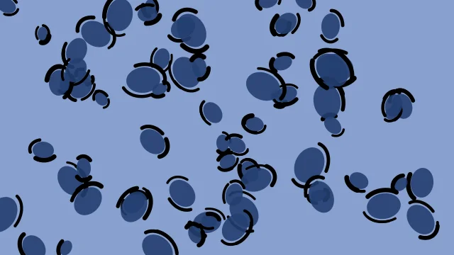 Dusk Blue leopard print background — free HD dusk blue color wallpaper 1920x1080