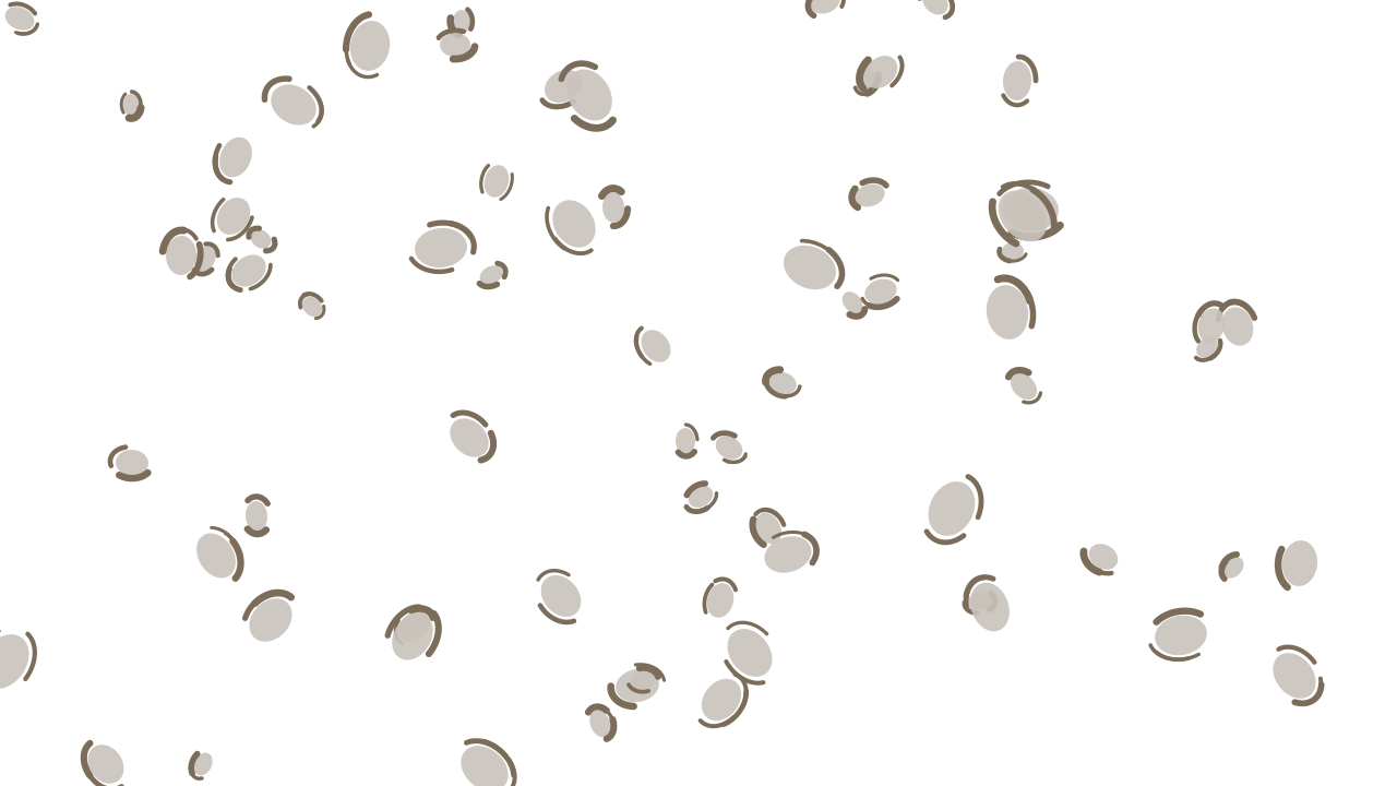 Dust Grey leopard print background — free HD dust grey color wallpaper 1920x1080