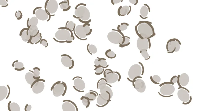 Dust Grey leopard print background — free HD dust grey color wallpaper 1920x1080