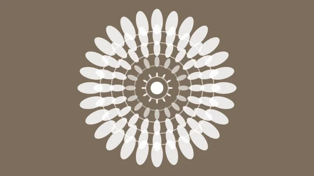 Dust Grey mandala background — free HD dust grey color wallpaper 1920x1080