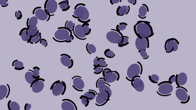 Dusty Grape leopard print background — free HD dusty grape color wallpaper 1920x1080