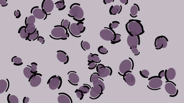 Dusty Lavender leopard desktop wallpaper — free 4K dusty lavender wallpaper 3840x2160