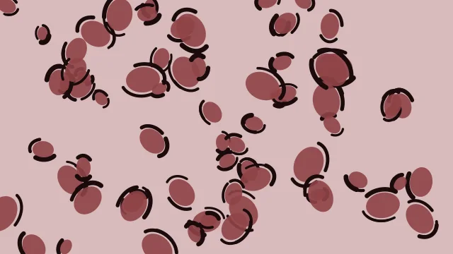 Dusty Mauve leopard desktop wallpaper — free 4K dusty mauve wallpaper 3840x2160