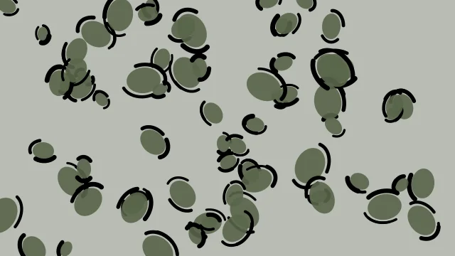 Dusty Olive leopard desktop wallpaper — free 4K dusty olive wallpaper 3840x2160