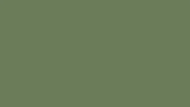 Dusty Olive plain solid background — free HD dusty olive color wallpaper 1920x1080
