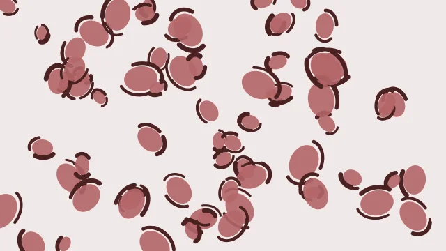 Dusty Rose leopard desktop wallpaper — free 4K dusty rose wallpaper 3840x2160