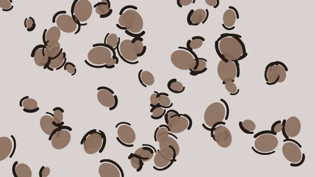 Dusty Taupe leopard print background — free HD dusty taupe color wallpaper 1920x1080