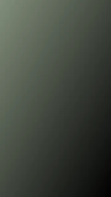 Ebony gradient phone wallpaper — free HD ebony mobile wallpaper 1080x1920