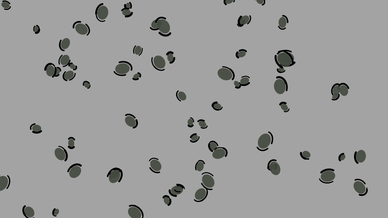 Ebony leopard print background — free HD ebony color wallpaper 1920x1080