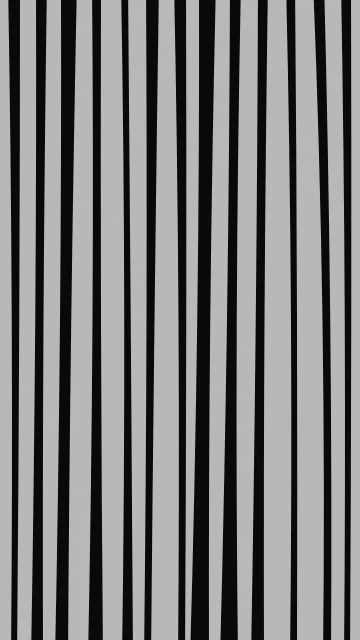 Ebony zebra phone wallpaper — free HD ebony mobile wallpaper 1080x1920