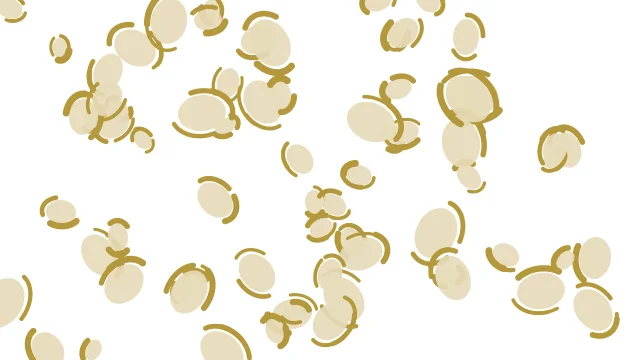 Eggshell leopard print background — free HD eggshell color wallpaper 1920x1080