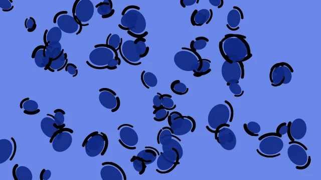 Egyptian Blue leopard print background — free HD egyptian blue color wallpaper 1920x1080