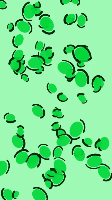 Electric Green leopard phone wallpaper — free HD electric green mobile wallpaper 1080x1920