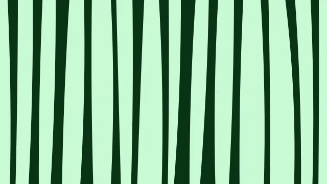 Electric Green zebra desktop wallpaper — free 4K electric green wallpaper 3840x2160