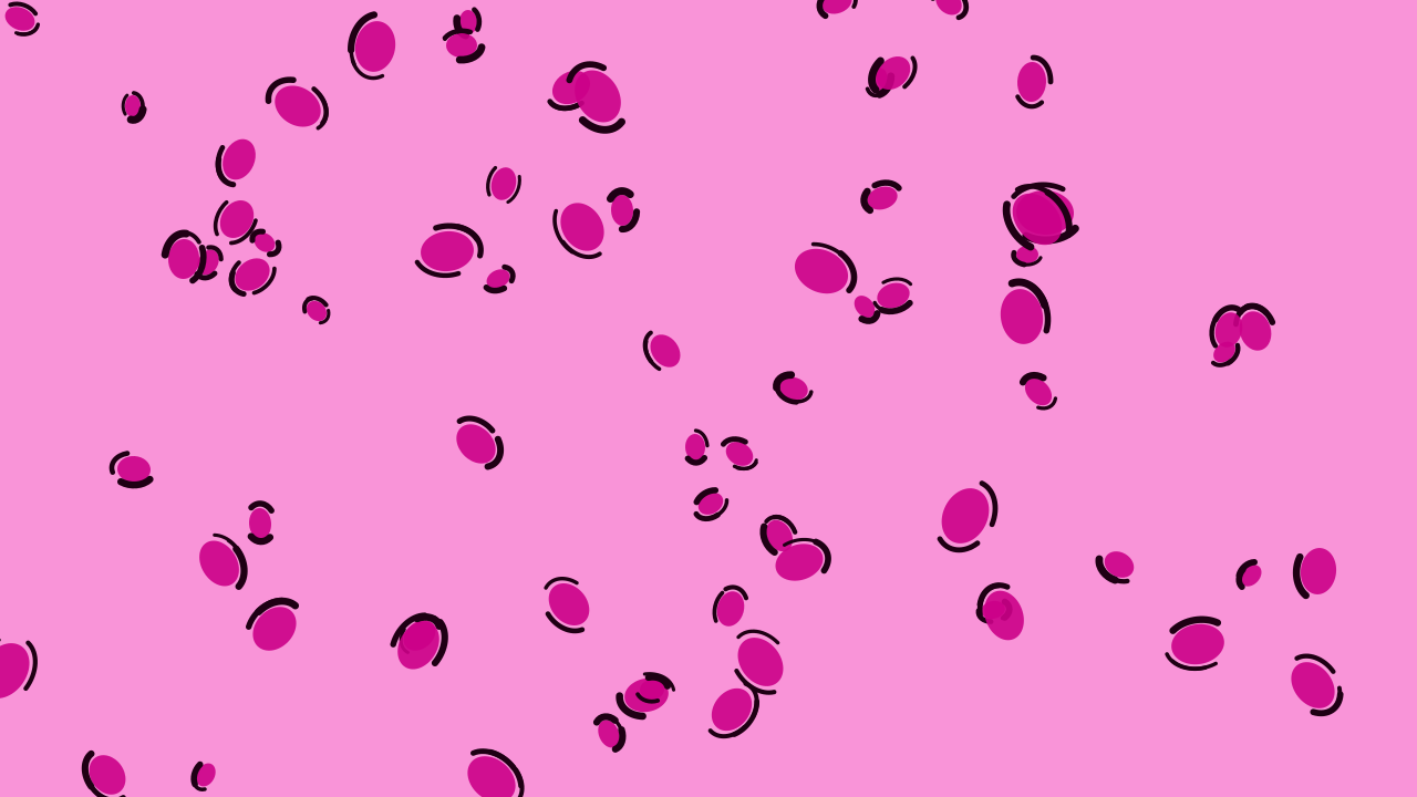 Electric Rose leopard print background — free HD electric rose color wallpaper 1920x1080