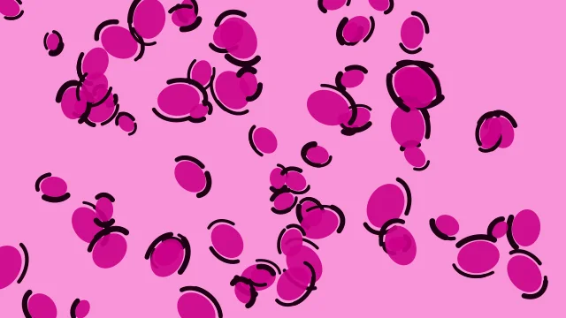 Electric Rose leopard print background — free HD electric rose color wallpaper 1920x1080