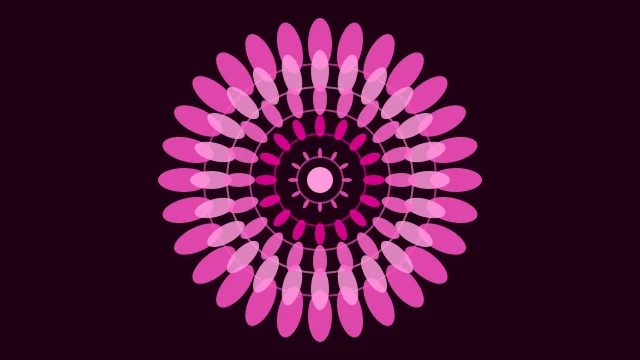 Electric Rose mandala background — free HD electric rose color wallpaper 1920x1080
