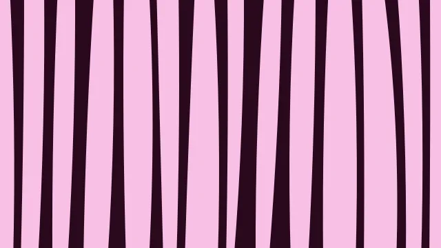 Electric Rose zebra print background — free HD electric rose color wallpaper 1920x1080