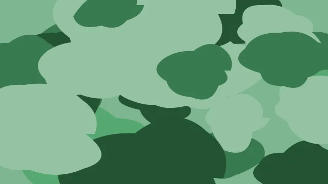Emerald camo background — free HD emerald color wallpaper 1920x1080