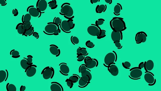Emerald Depths leopard print background — free HD emerald depths color wallpaper 1920x1080