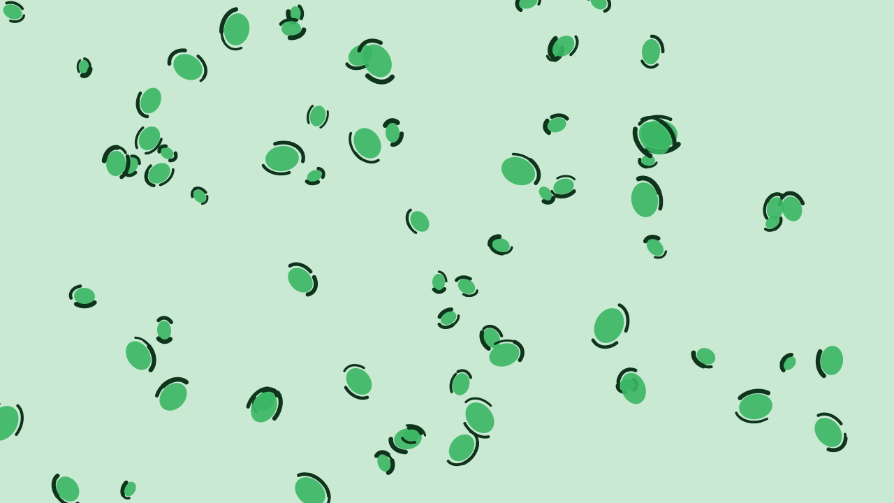 Emerald leopard print background — free HD emerald color wallpaper 1920x1080