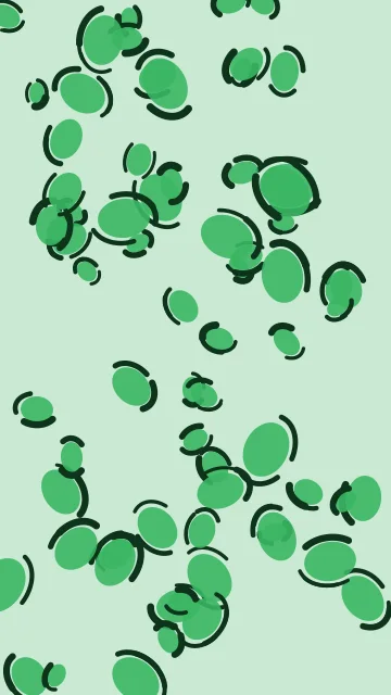 Emerald leopard phone wallpaper — free HD emerald mobile wallpaper 1080x1920