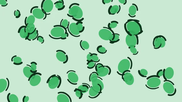 Emerald leopard print background — free HD emerald color wallpaper 1920x1080