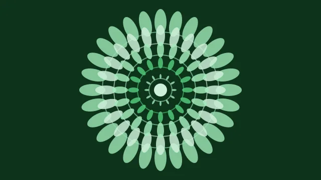 Emerald mandala background — free HD emerald color wallpaper 1920x1080