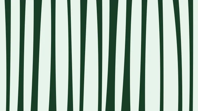 Emerald zebra print background — free HD emerald color wallpaper 1920x1080